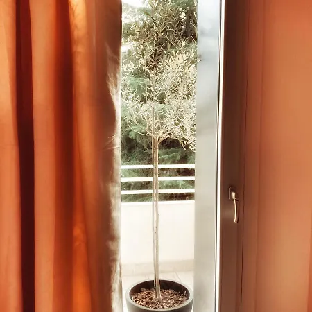 The Fahouse Treviso